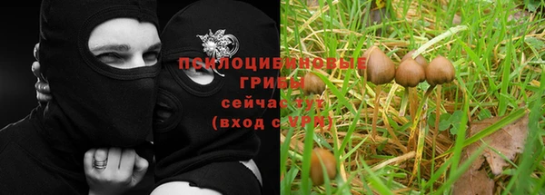 jwh Бородино