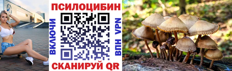 Галлюциногенные грибы мицелий  наркотики  omg рабочий сайт  Клин 